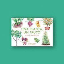 UNA PLANTA UN FRUTO