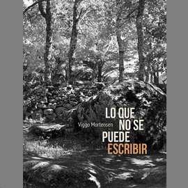 LO QUE NO SE PUEDE ESCRIBIR