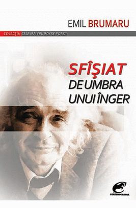 SFISIAT DE UMBRA UNUI INGER