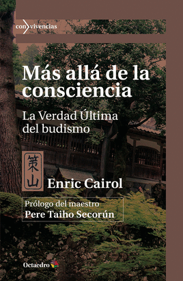 MÁS ALLÁ DE LA CONSCIENCIA