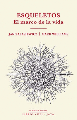 ESQUELETOS (EL MARCO DE LA VIDA)