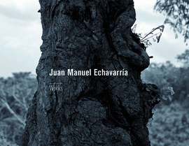 JUAN MANUEL ECHAVARRÍA: WORKS