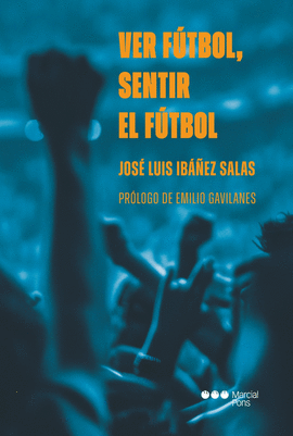 VER FUTBOL, SENTIR EL FUTBOL