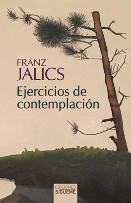 EJERCICIOS DE CONTEMPLACIÓN