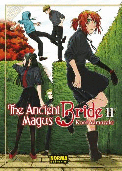 THE ANCIENT MAGUS BRIDE Nº 11