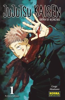 JUJUTSU KAISEN Nº 01/30