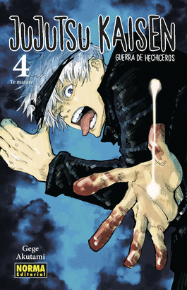 JUJUTSU KAISEN Nº 04/30