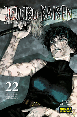 JUJUTSU KAISEN Nº 22/30