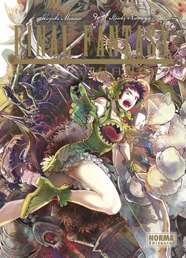 FINAL FANTASY: LOST STRANGER Nº 09