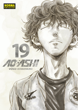AO ASHI Nº 19/40