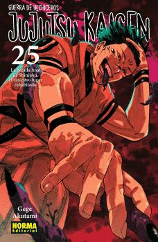 JUJUTSU KAISEN Nº 25/30