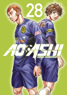AO ASHI Nº 28/40