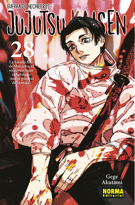 JUJUTSU KAISEN Nº 28/30