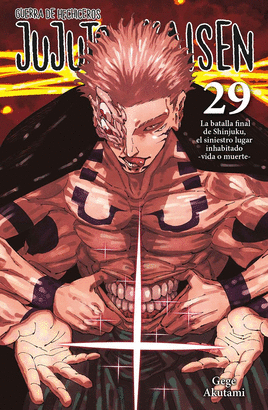 JUJUTSU KAISEN Nº 29/30