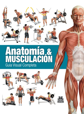 ANATOMÍA & MUSCULACIÓN. GUÍA VISUAL COMPLETA (COLOR)