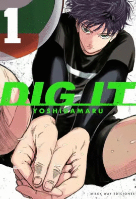 DIG IT Nº 01