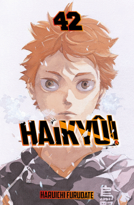 HAIKYÛ!! Nº 42/45