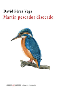 MARTIN PESCADOR DISECADO